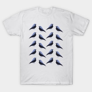 Mountain Bluebird (Ripe) T-Shirt